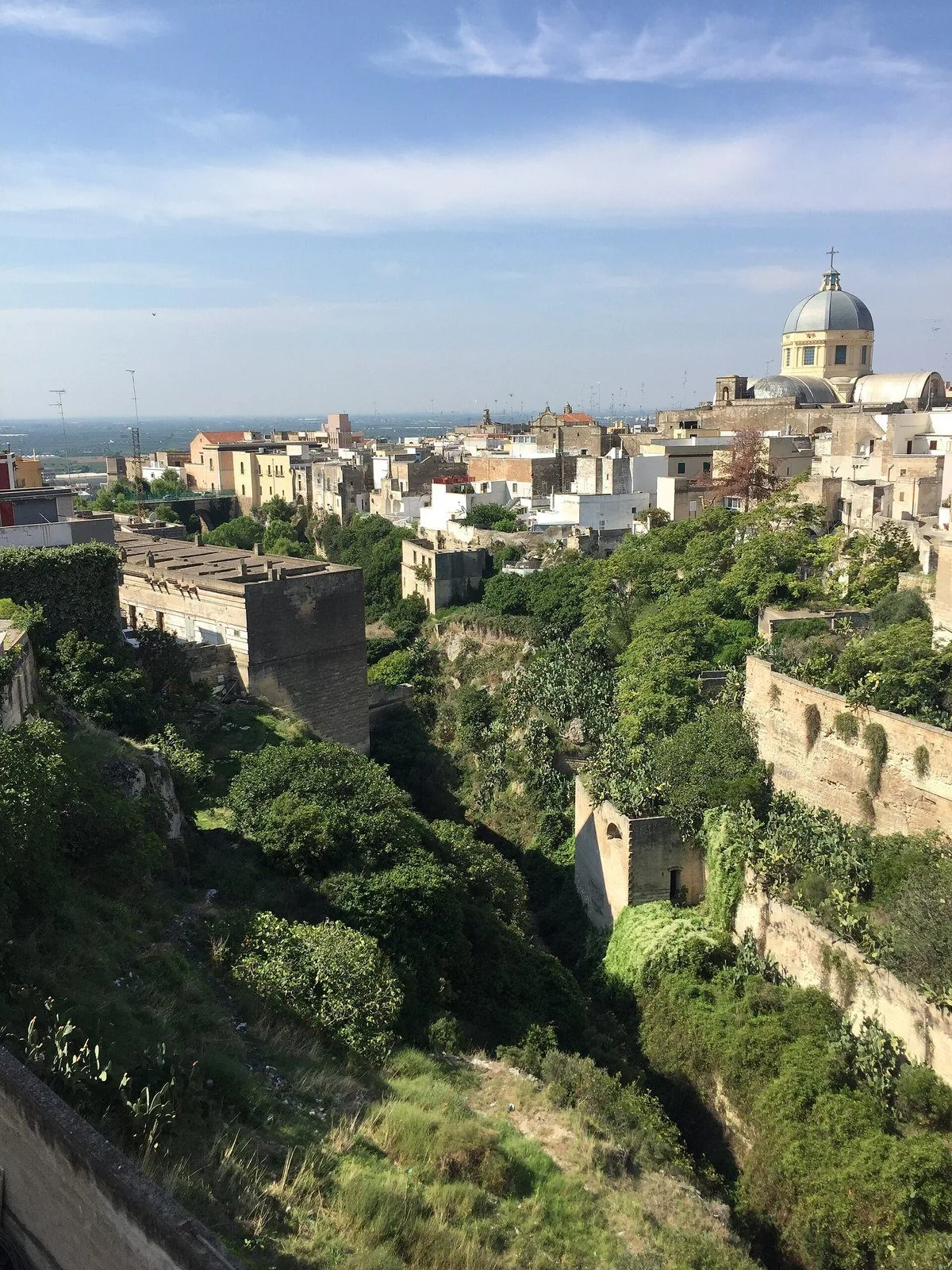 La gravina di San Marco ricoperta di vegetazione, tra muri di pietra e case del centro storico, con la cupola del Duomo e la piana sullo sfondo